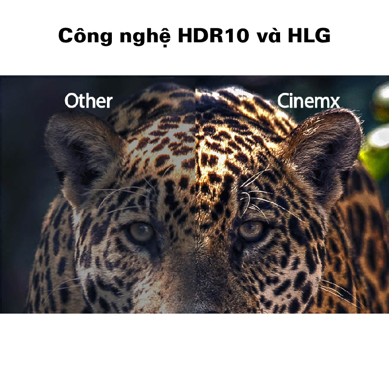 Cinema P2- Công nghệ HDR10 và HLG