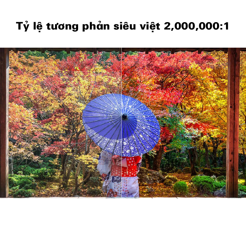 Cinema P2- tỷ lệ tương phản