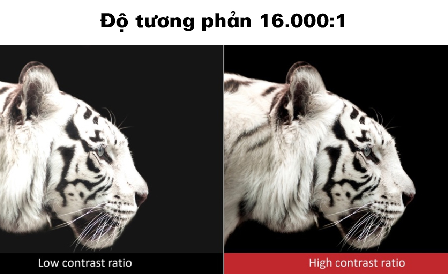 EB-U50- độ tương phản