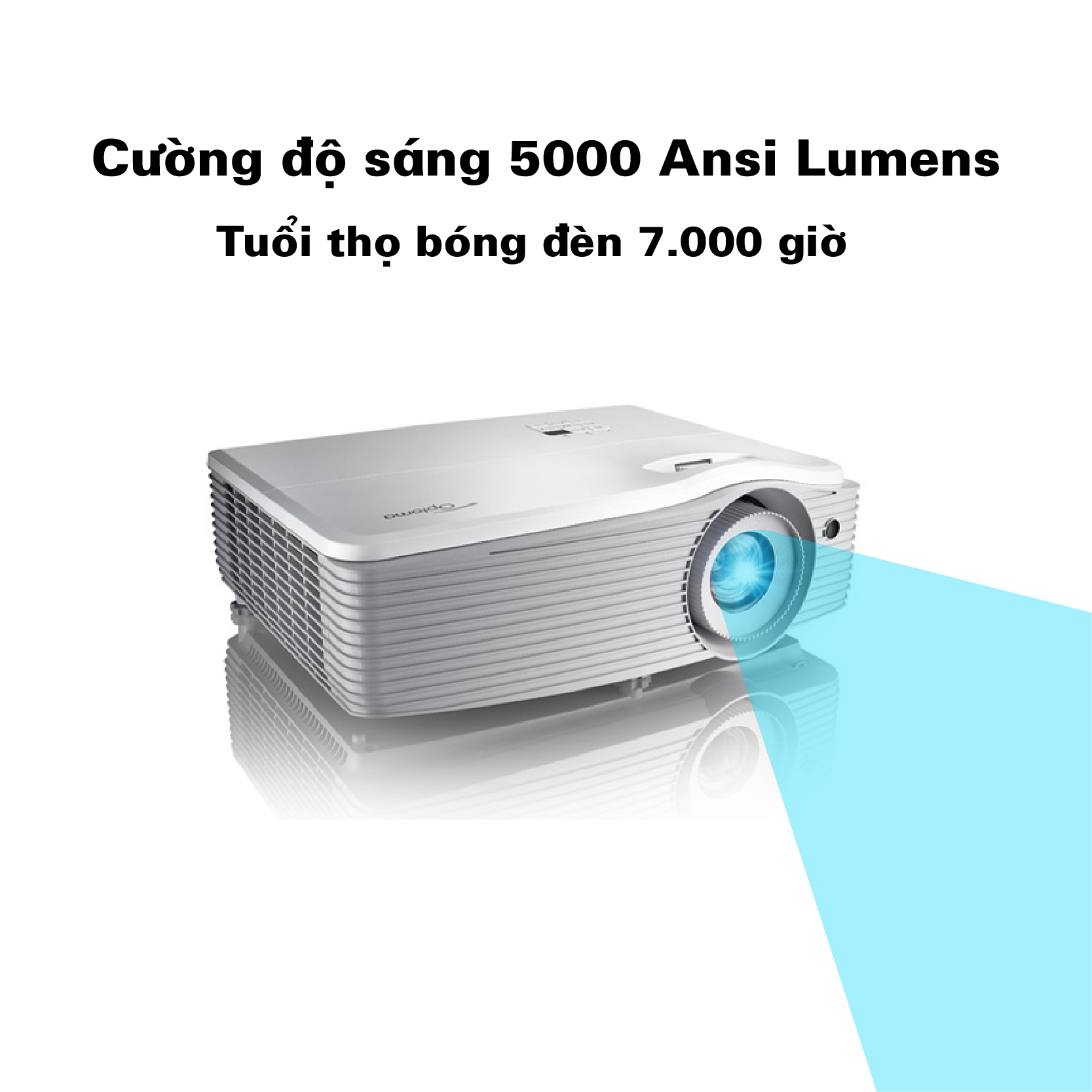 EH512- Cường độ sáng và tuổi thọ bóng đèn