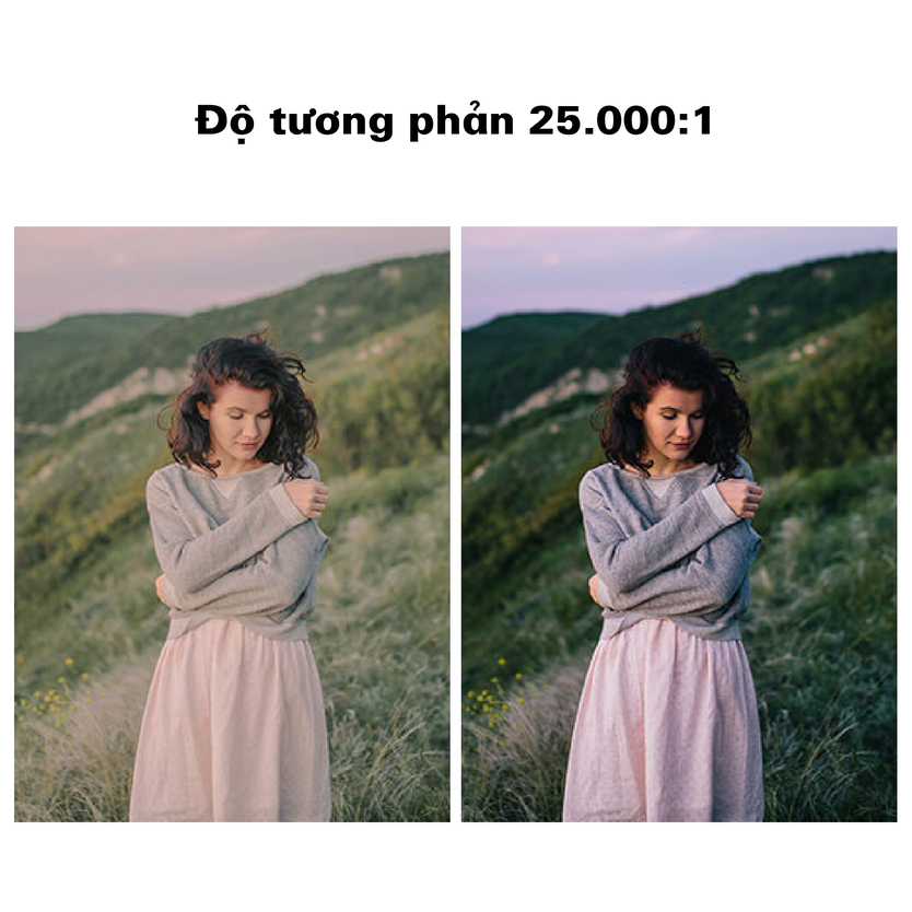 W319ST- Độ tương phản cao