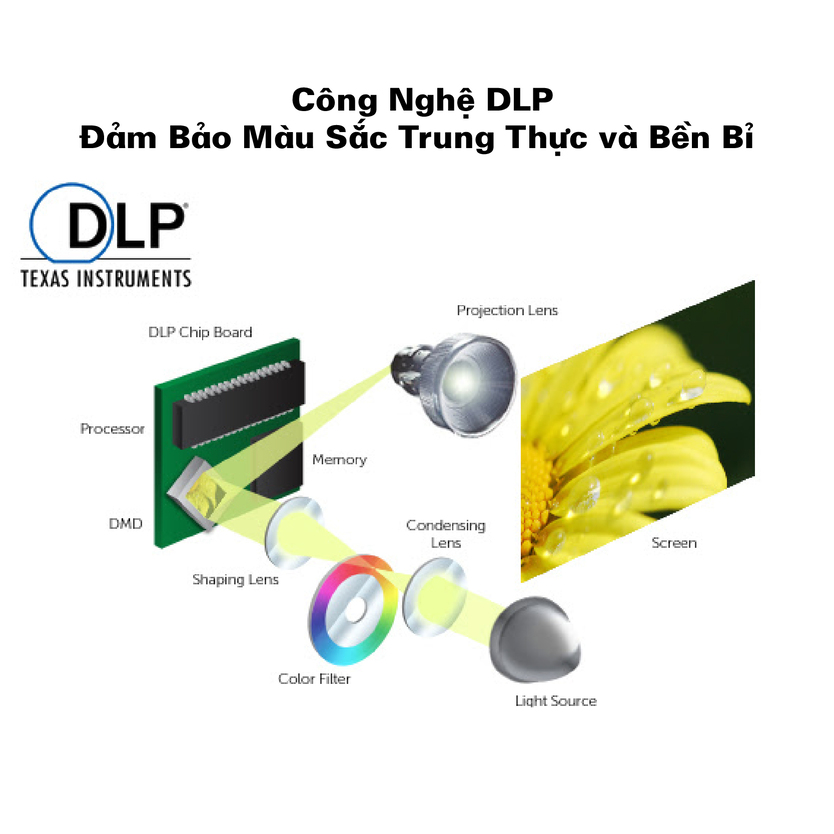 W512- Công nghệ DLP