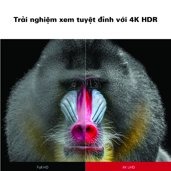 X2000L-4K- 4K HDR