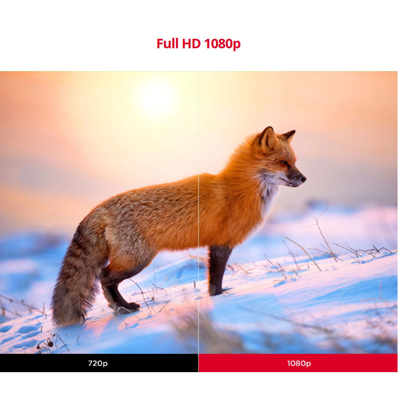 hình ảnh sắc nét-PX740HD